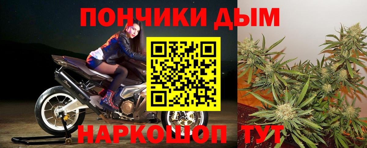 Сальск  МАРИХУАНА OG Kush  Вход с VPN  МАРИХУАНА AK-47  МАРИХУАНА гибрид  Шишки марихуана конопля 